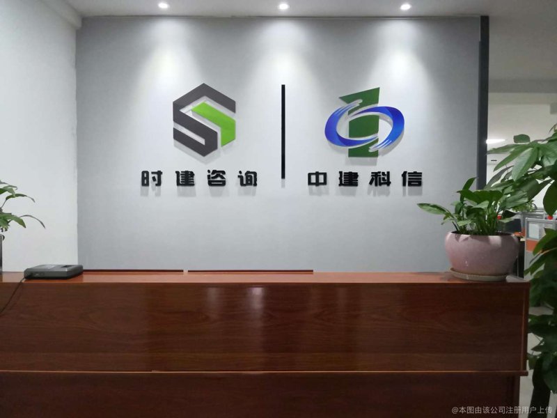 武汉信息咨询业的发展与未来