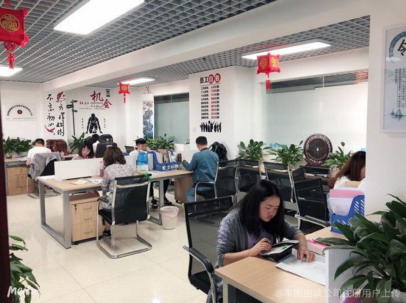 商务信息咨询行业动态：洞见未来趋势
